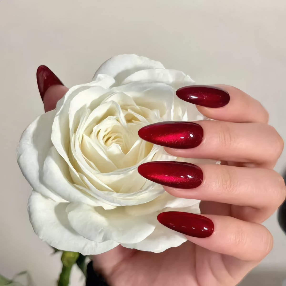 Deep Red Cat Eye Press On Nails Holding White Rose